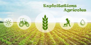 Logo exploitations agricoles du village