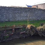 Berges effondrées du ruisseau de Quiévelon 