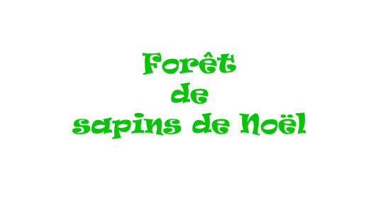 Décembre : Forêt de sapins de Noël