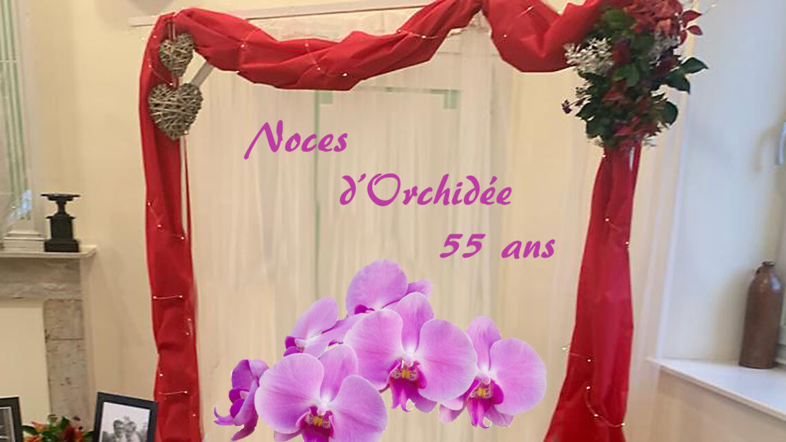 25 novembre 2023 : Noces d’Orchidée